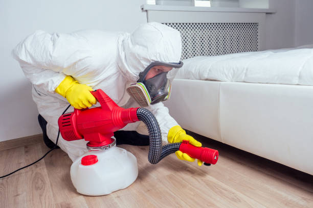 Best Real Estate Pest Inspections  in Larksville, PA